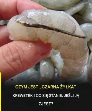 „Żyła” krewetki: kulinarny szczegół, o którym mało kto wie, a o którym wielu dyskutuje