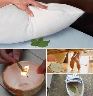 Rytuały z wawrzynem przyciągające szczęście i dobrobyt!!! Pełna lista w pierwszym komentarzu