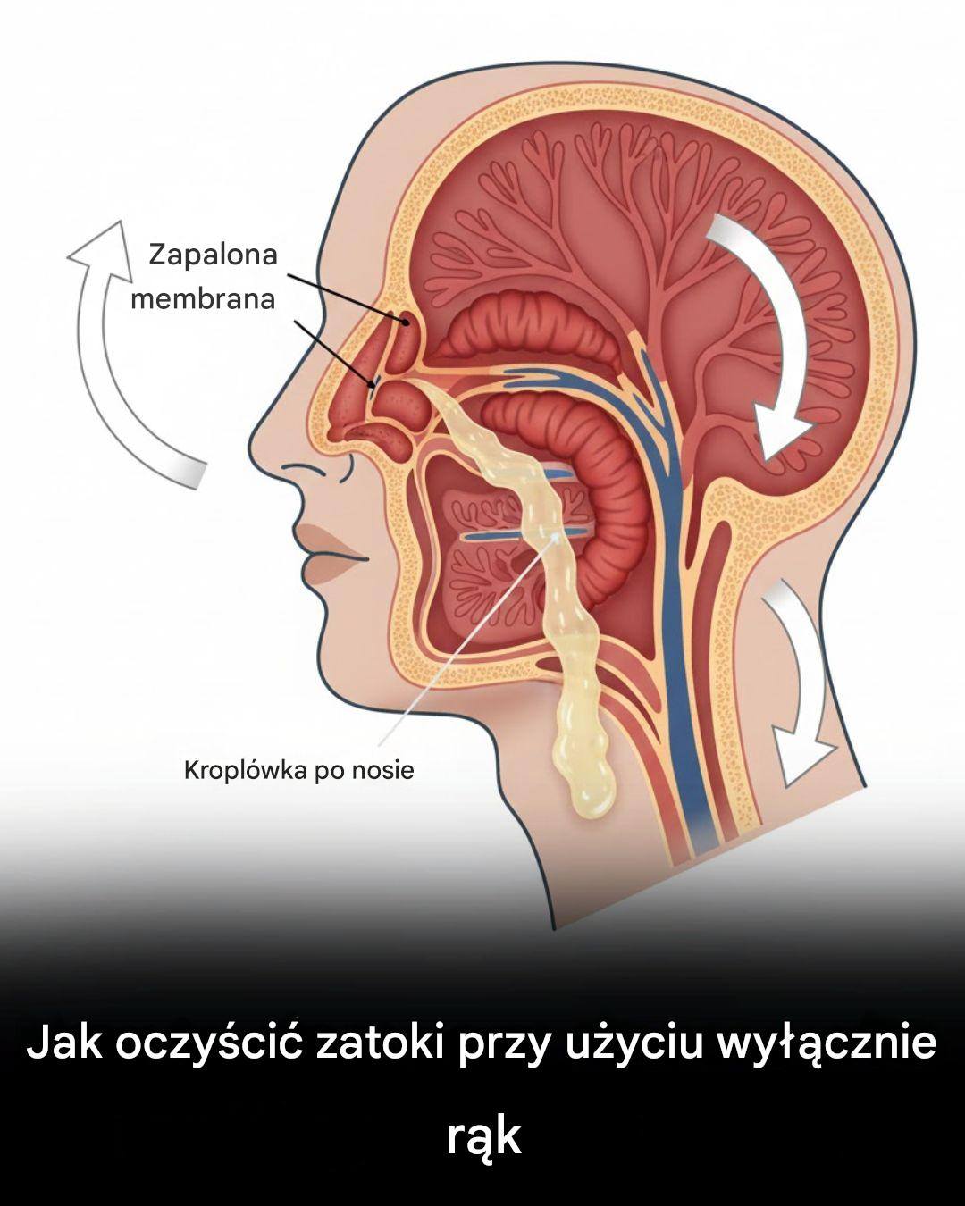 Jak oczyścić zatoki przy użyciu wyłącznie rąk