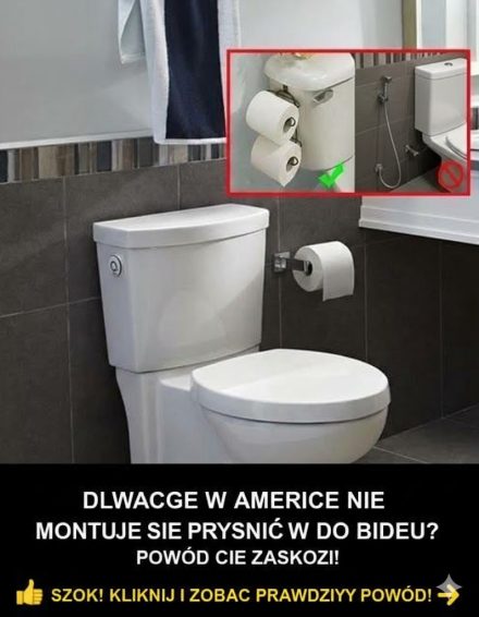 Dlaczego toalety w USA nie są wyposażone w natryski bidetowe?