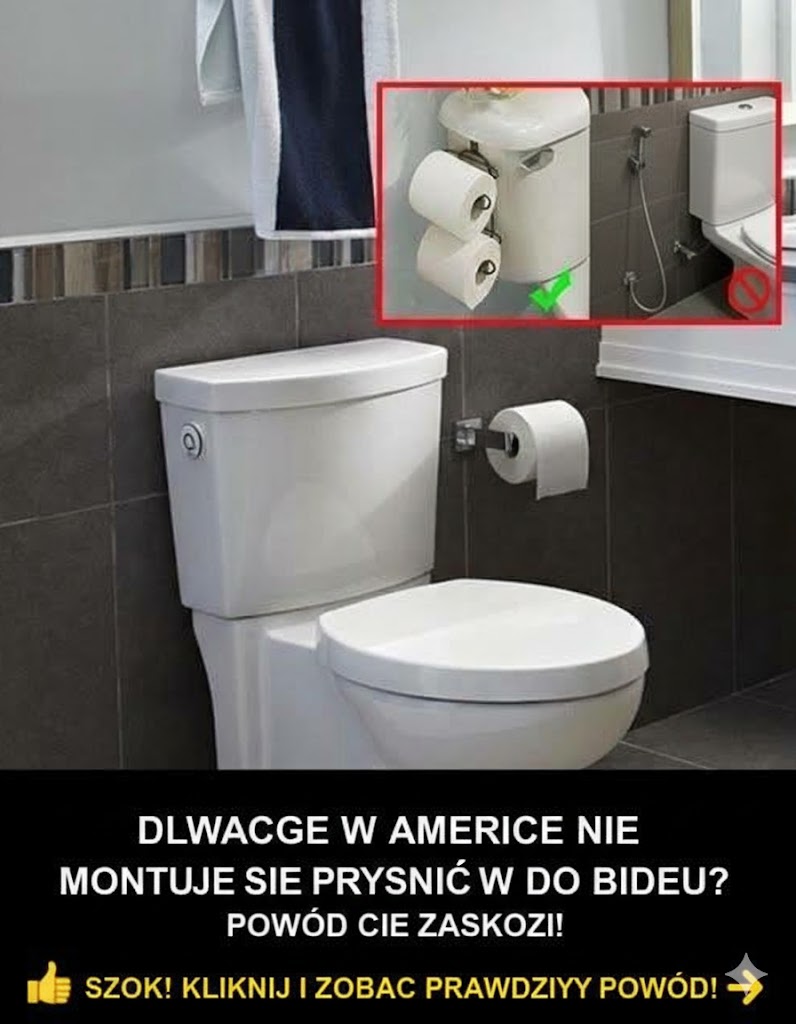 Dlaczego toalety w USA nie są wyposażone w natryski bidetowe?