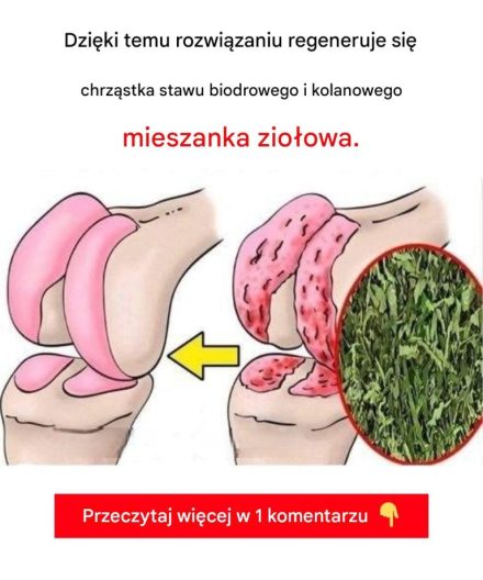 Skuteczny domowy sposób na regenerację chrząstki biodrowej i kolanowej