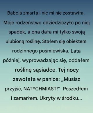 Roślina, którą zostawiła mi babcia!