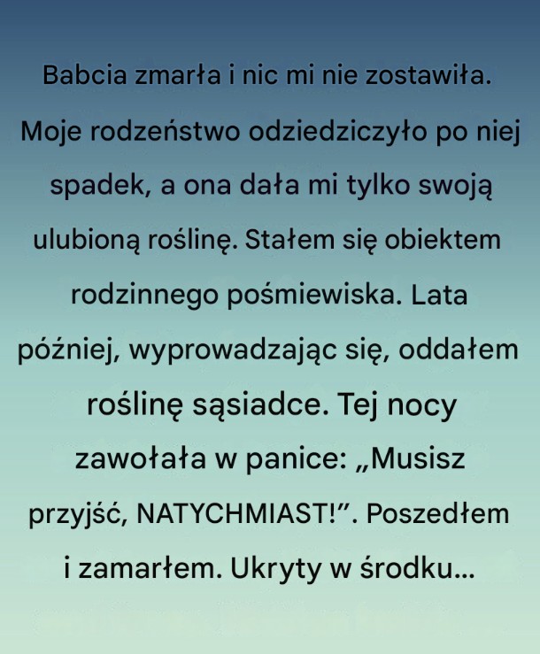 Roślina, którą zostawiła mi babcia!