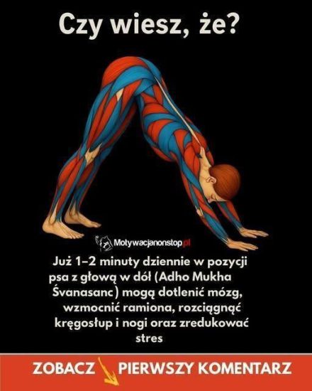 Pies z głową w dół – wszechstronna asana jogi do wzmacniania ciała, zwiększania elastyczności i relaksu umysłu