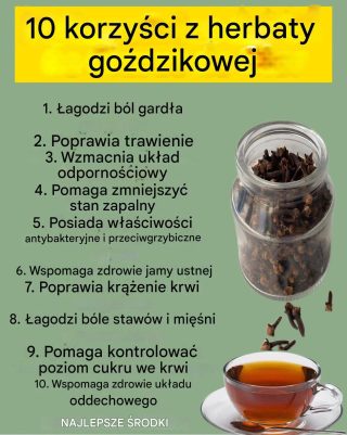 Wyniki wyszukiwania dla: Goździki