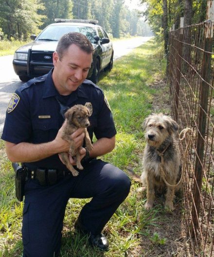 Dzisiaj chcę się z wami podzielić czymś, co nawet teraz, kiedy o tym myślę, nadal mnie przeraża.