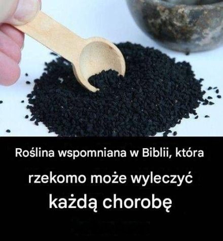 Roślina lecznicza z Biblii: ponadczasowy środek
