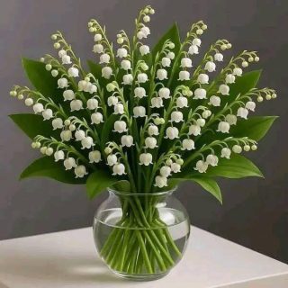 Nie przegap tej konwalii, twoje szczęście przyjdzie za dwie godziny.