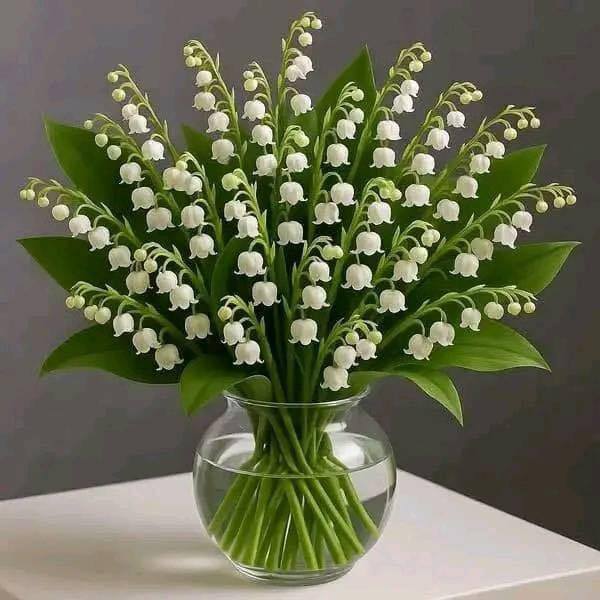 Nie przegap tej konwalii, twoje szczęście przyjdzie za dwie godziny.