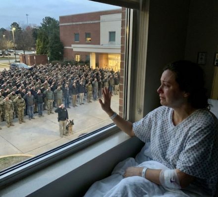 Pielęgniarka zasłoniła psa weterana własnym ciałem. Dzień później pojawili się Navy SEALs