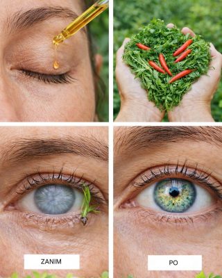 5 niezbędnych liści, które naturalnie wspierają zdrowie oczu