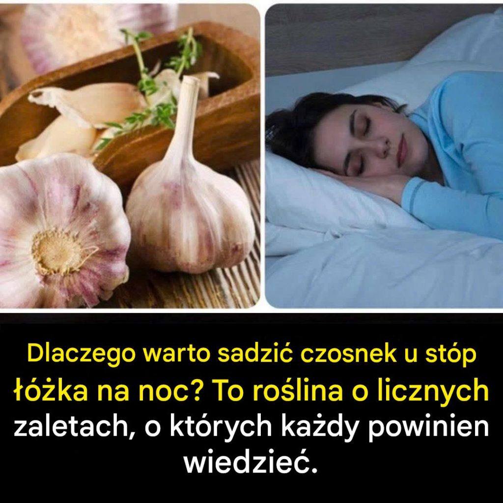 Dlaczego czosnek zawsze powinien znaleźć się na szczycie grządki?