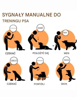 Sygnały ręczne w szkoleniu psa – praktyczny poradnik