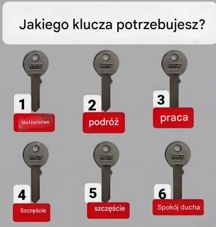 zasad wewnętrznej siły, których nic nie zachwieje