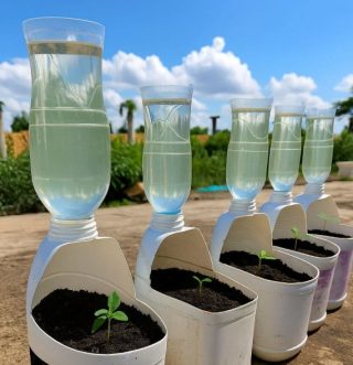 Horta w domu z recyklingu – tani i eko poradnik