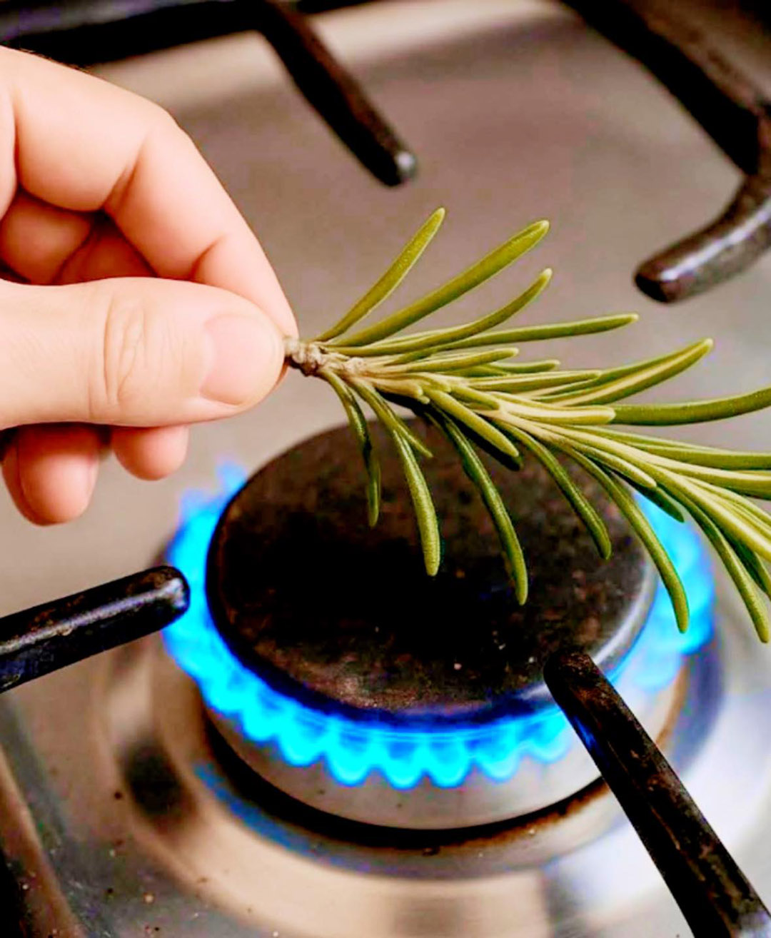 Nigdy bym nie pomyślał, że palenie rozmarynu może coś takiego zrobić