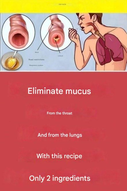 Clear your throat and lungs of mucus with this recipe: only 2 ingredients