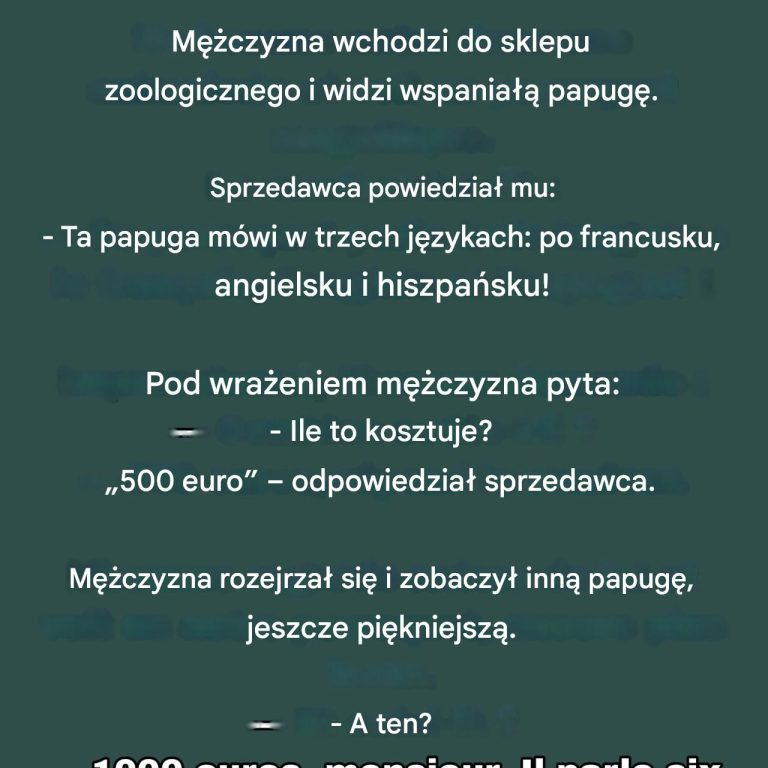 Papuga szef