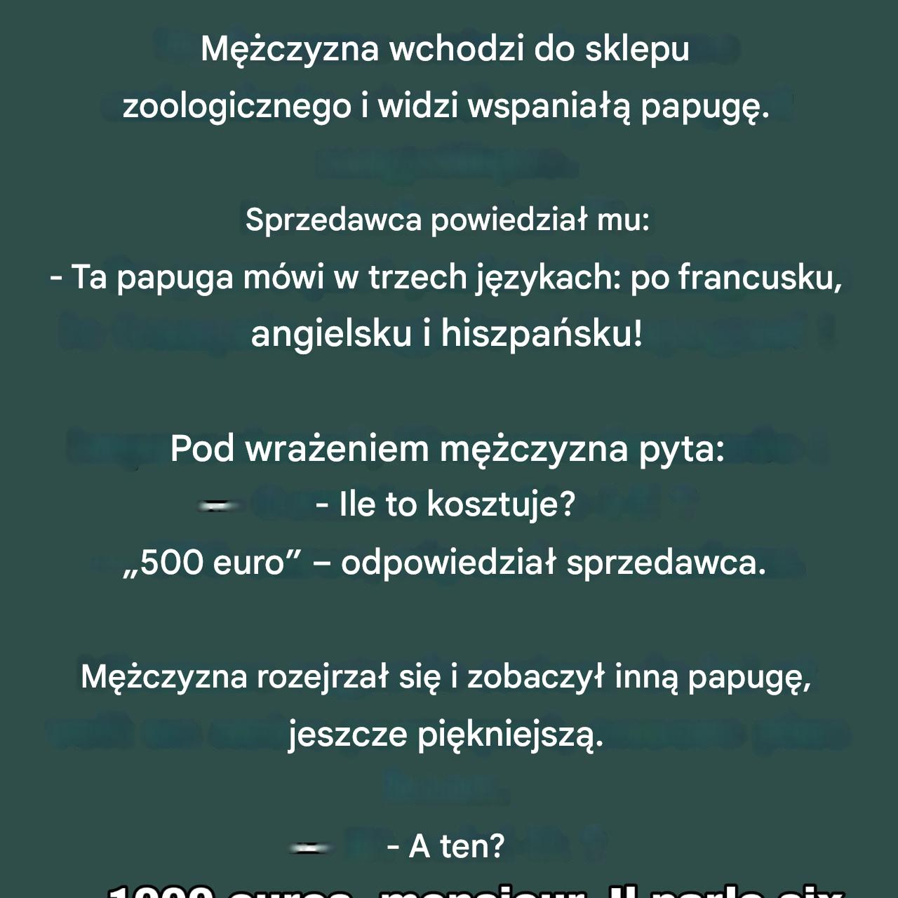 Papuga szef