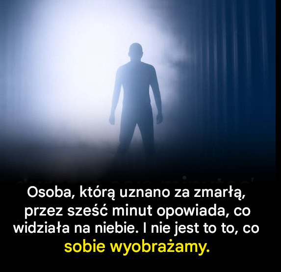Oposy w ogrodzie – cisi strażnicy natury