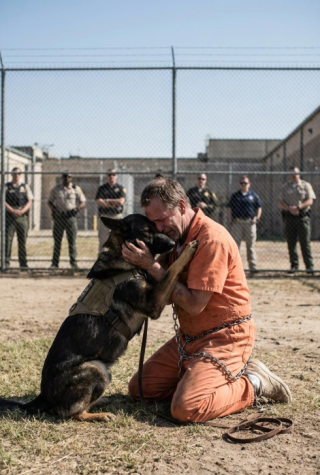 Na kilka minut przed planowaną śmiercią więzień został poproszony o ostatnie przytulenie psa — to, co zrobiła później, powstrzymało egzekucję i ujawniło prawdę skrywaną przez trzynaście lat