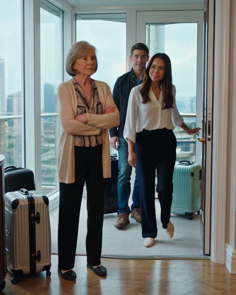Moja synowa nastawiła mojego jedynego syna i całą rodzinę przeciwko mnie przez 12 lat – zabronili mi widywać się z wnuczką i nazywali mnie „toksyczną”… Potem mój biznes cukierniczy się rozkręcił, kupiłam luksusowy penthouse, a następnego ranka pojawiła się z walizkami i powiedziała: „Wprowadzamy się, bo rodzina pomaga rodzinie”